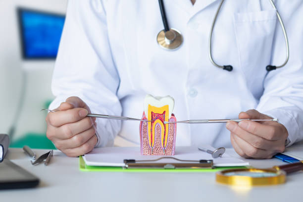 Best Chipped Tooth Repair Near Me  in Alcoa, TN